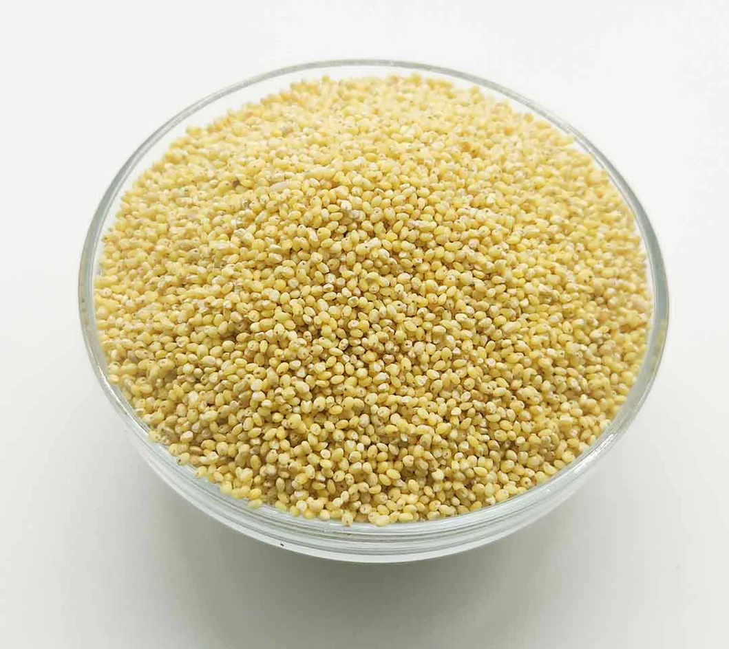 Proso Millet (Pani Varagu) 1 kg
